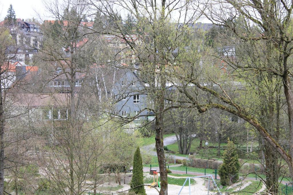 Hotel Haus Daheim Braunlage Pokój zdjęcie